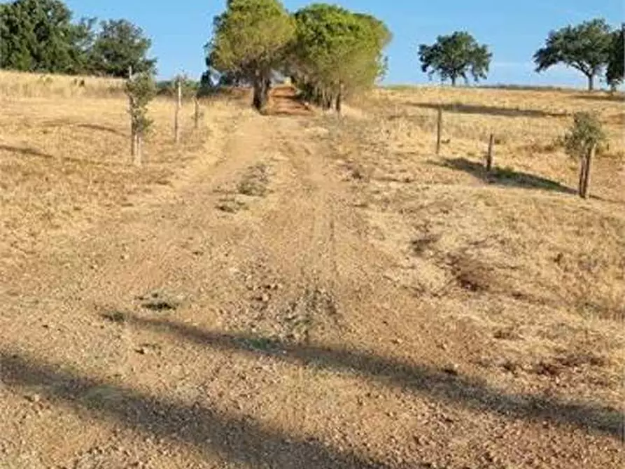 Immagine 34 di Casa indipendente in vendita  in della madonnina 1 a Civitella Paganico