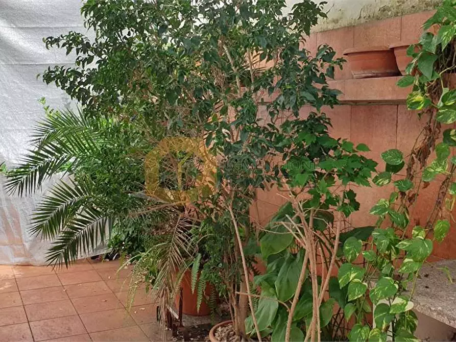 Immagine 31 di Villetta a schiera in vendita  in virgilio a Viareggio