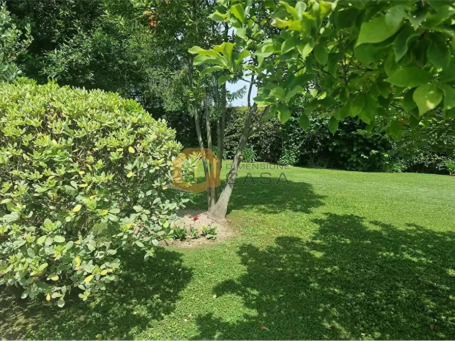 Immagine 3 di Villa in vendita  in pennelle 4 a Camaiore