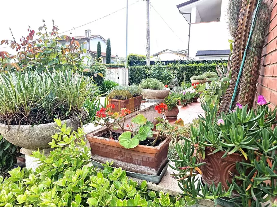 Immagine 9 di Villa in vendita  in Arginvecchio Nord 517 a Camaiore