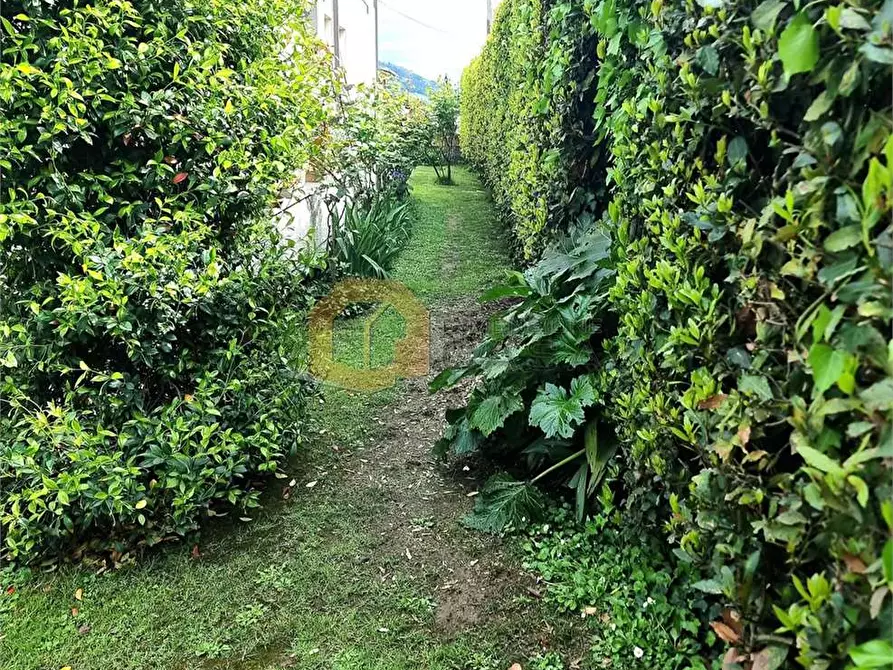 Immagine 62 di Villa in vendita  in Arginvecchio Nord 517 a Camaiore