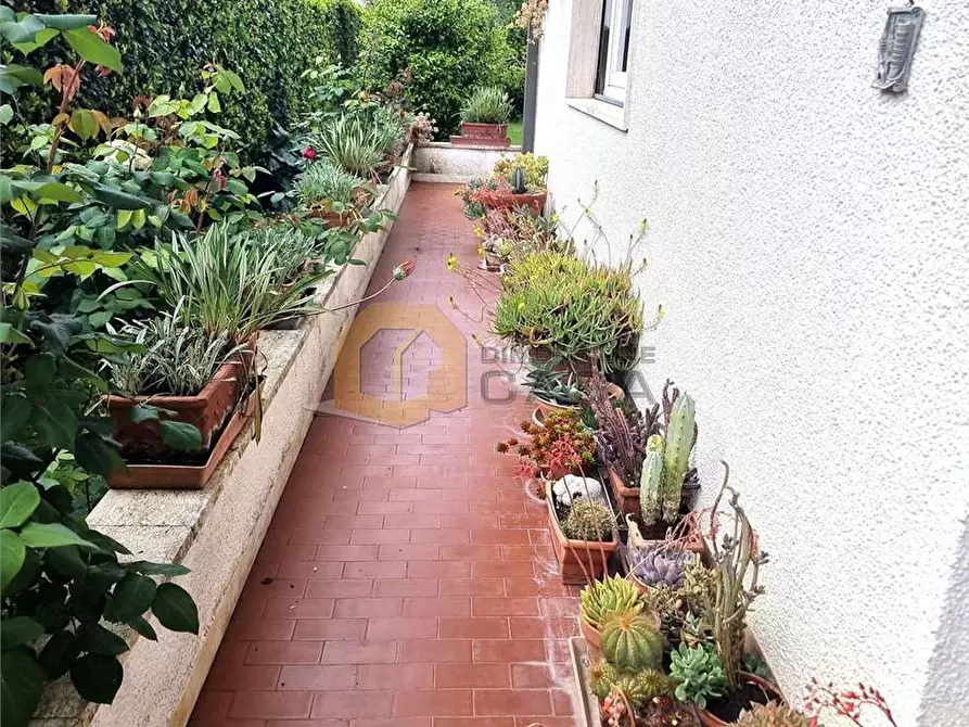 Immagine 66 di Villa in vendita  in Arginvecchio Nord 517 a Camaiore