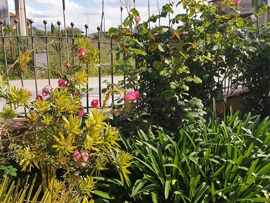 Immagine 72 di Villa in vendita  in Arginvecchio Nord 517 a Camaiore