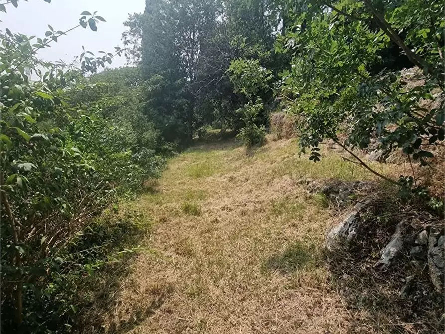 Immagine 49 di Villa in vendita  in Sant'Orsola 32 a Brescia