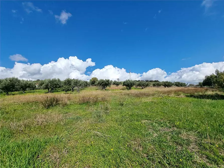 Immagine 5 di Terreno agricolo in vendita  in LOCALITA' GELSITELLO a Simeri Crichi