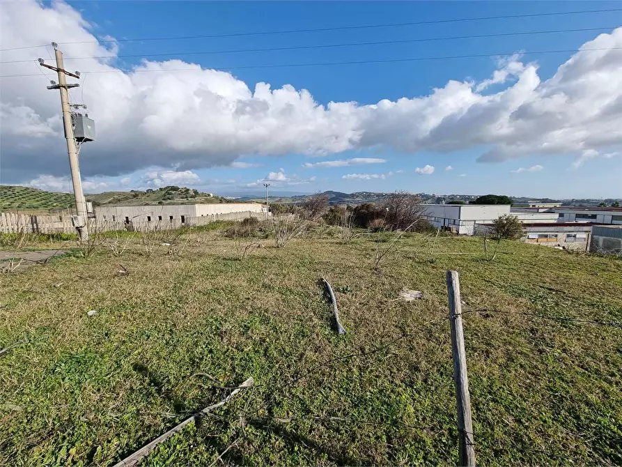 Immagine 3 di Terreno agricolo in vendita  in VIA SCYLLETION a Borgia