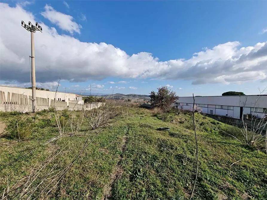 Immagine 4 di Terreno agricolo in vendita  in VIA SCYLLETION a Borgia
