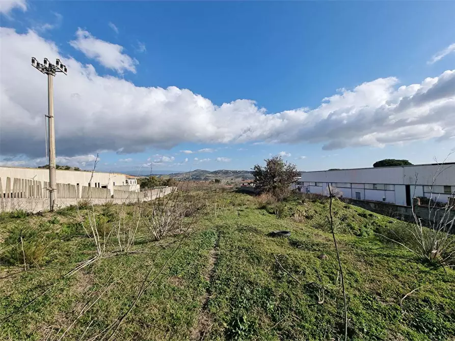 Immagine 5 di Terreno agricolo in vendita  in VIA SCYLLETION a Borgia