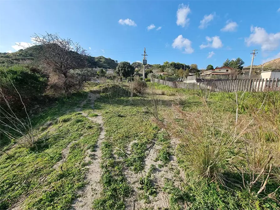 Immagine 6 di Terreno agricolo in vendita  in VIA SCYLLETION a Borgia