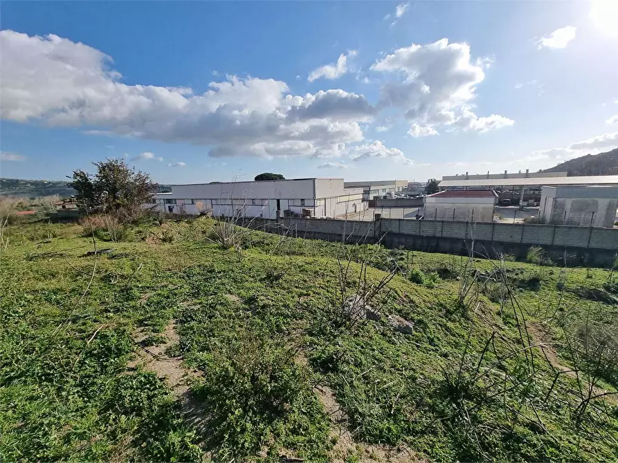 Immagine 7 di Terreno agricolo in vendita  in VIA SCYLLETION a Borgia