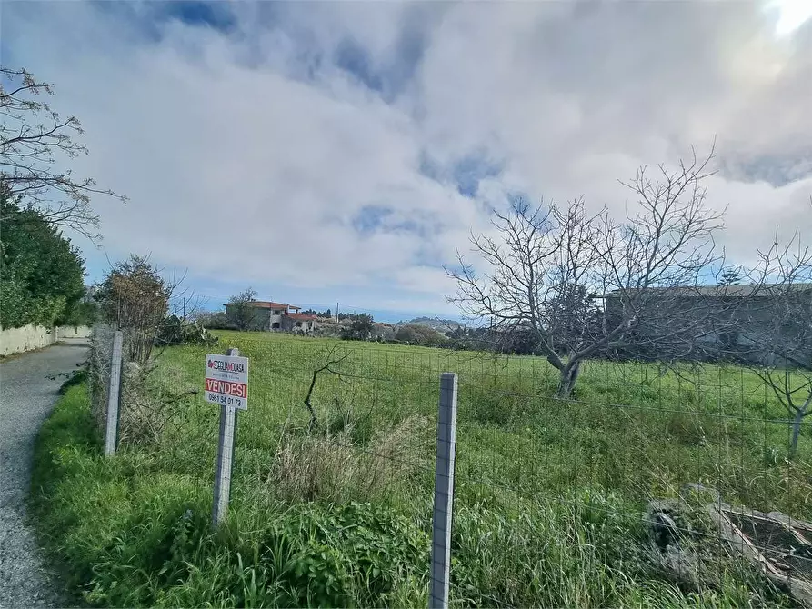 Immagine 3 di Terreno edificabile in vendita  in VIA CHIESA MADRE a Stalettì