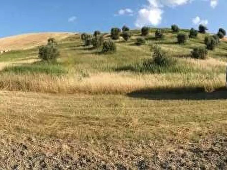 Immagine 3 di Terreno agricolo in vendita  in Via Germaneto a Catanzaro