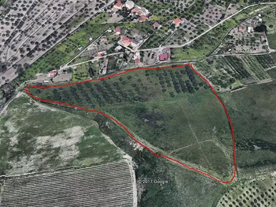 Immagine 1 di Terreno agricolo in vendita  in Via Germaneto a Catanzaro