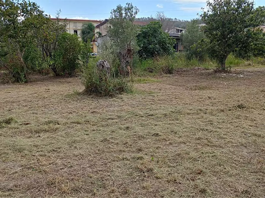 Immagine 3 di Terreno edificabile in vendita  in FIUME BUSENTO a Catanzaro