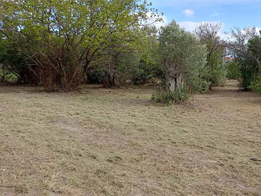Immagine 4 di Terreno edificabile in vendita  in FIUME BUSENTO a Catanzaro