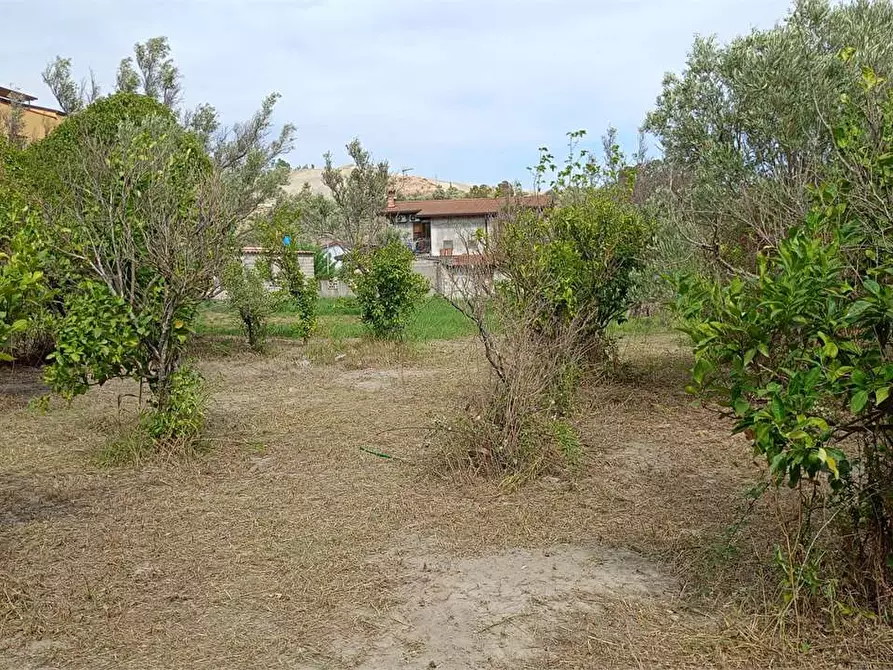 Immagine 12 di Terreno edificabile in vendita  in FIUME BUSENTO a Catanzaro