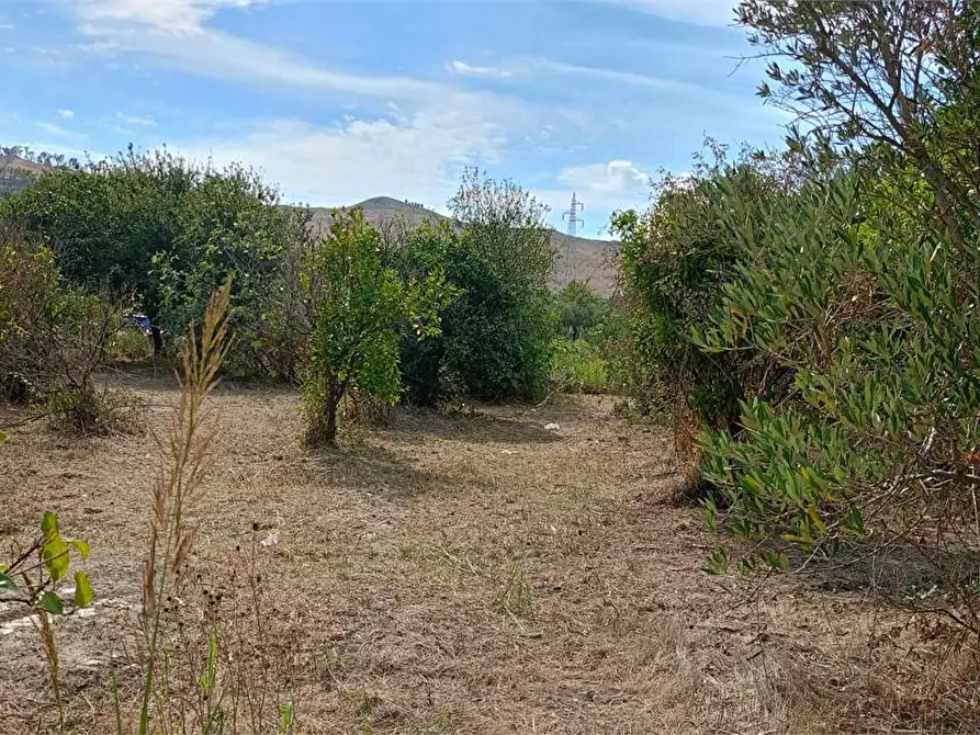 Immagine 15 di Terreno edificabile in vendita  in FIUME BUSENTO a Catanzaro