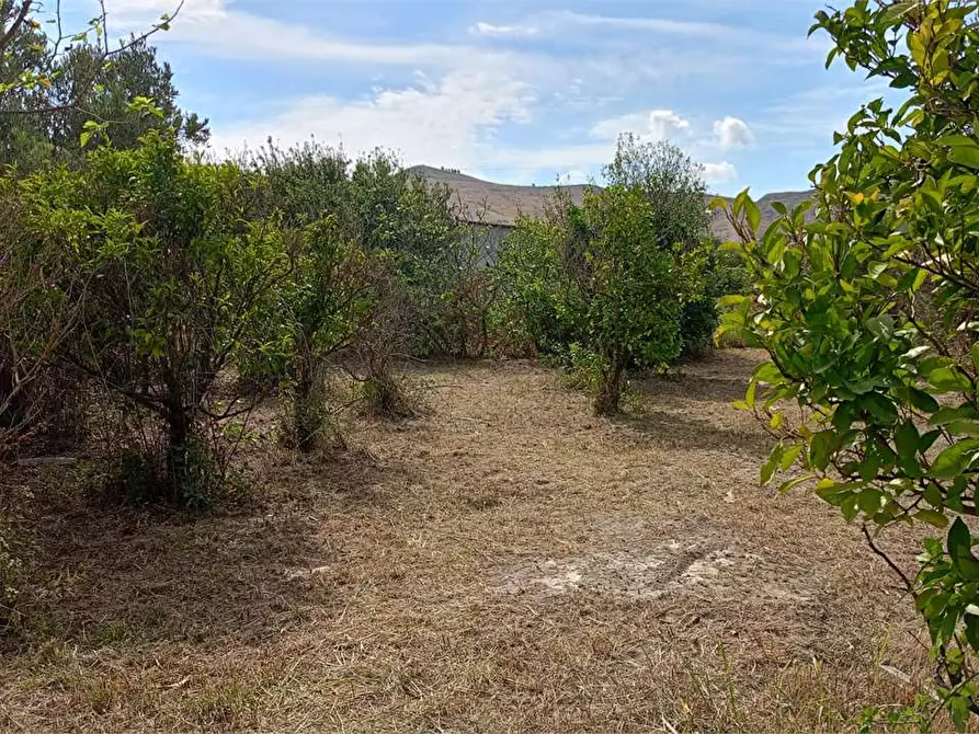 Immagine 16 di Terreno edificabile in vendita  in FIUME BUSENTO a Catanzaro