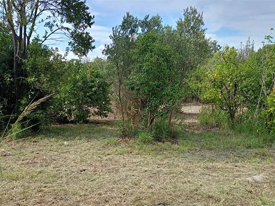 Immagine 17 di Terreno edificabile in vendita  in FIUME BUSENTO a Catanzaro