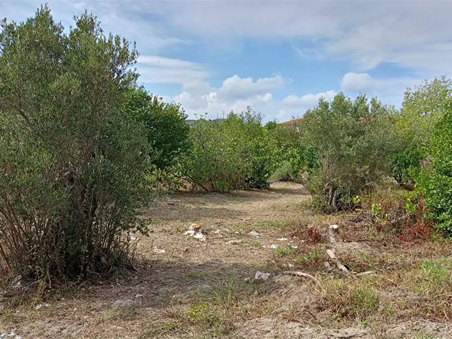 Immagine 18 di Terreno edificabile in vendita  in FIUME BUSENTO a Catanzaro