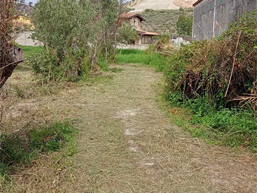 Immagine 19 di Terreno edificabile in vendita  in FIUME BUSENTO a Catanzaro