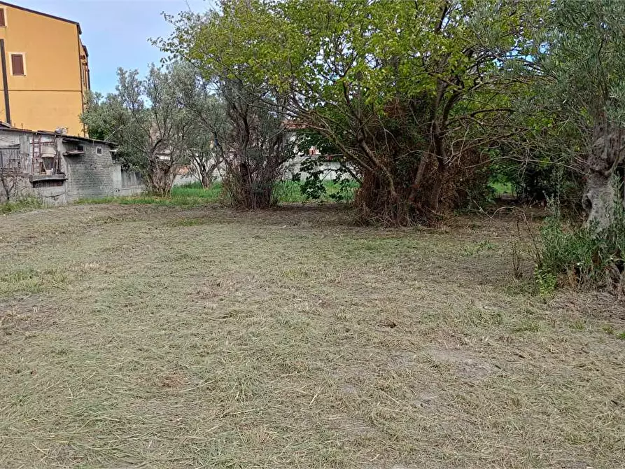 Immagine 5 di Terreno edificabile in vendita  in FIUME BUSENTO a Catanzaro