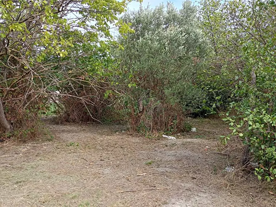 Immagine 7 di Terreno edificabile in vendita  in FIUME BUSENTO a Catanzaro