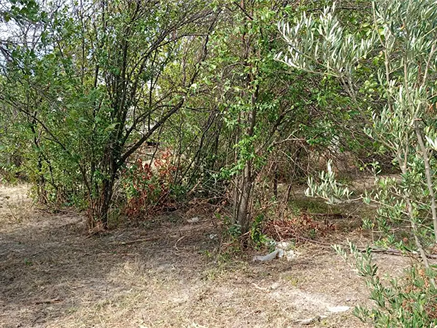 Immagine 8 di Terreno edificabile in vendita  in FIUME BUSENTO a Catanzaro