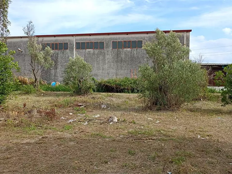 Immagine 10 di Terreno edificabile in vendita  in FIUME BUSENTO a Catanzaro
