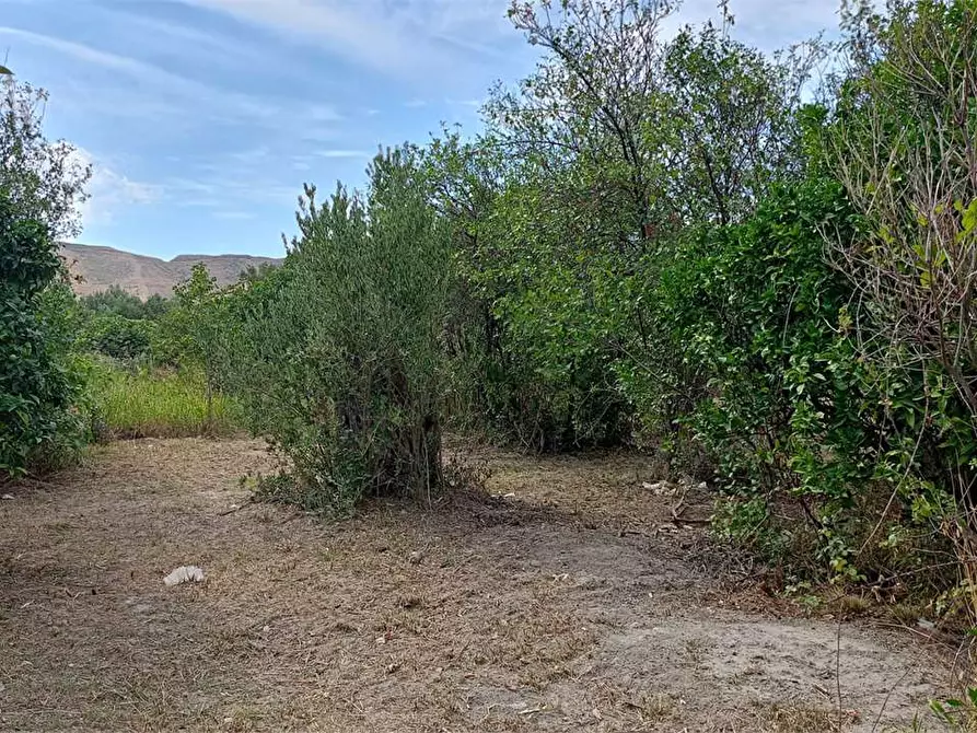 Immagine 13 di Terreno edificabile in vendita  in FIUME BUSENTO a Catanzaro