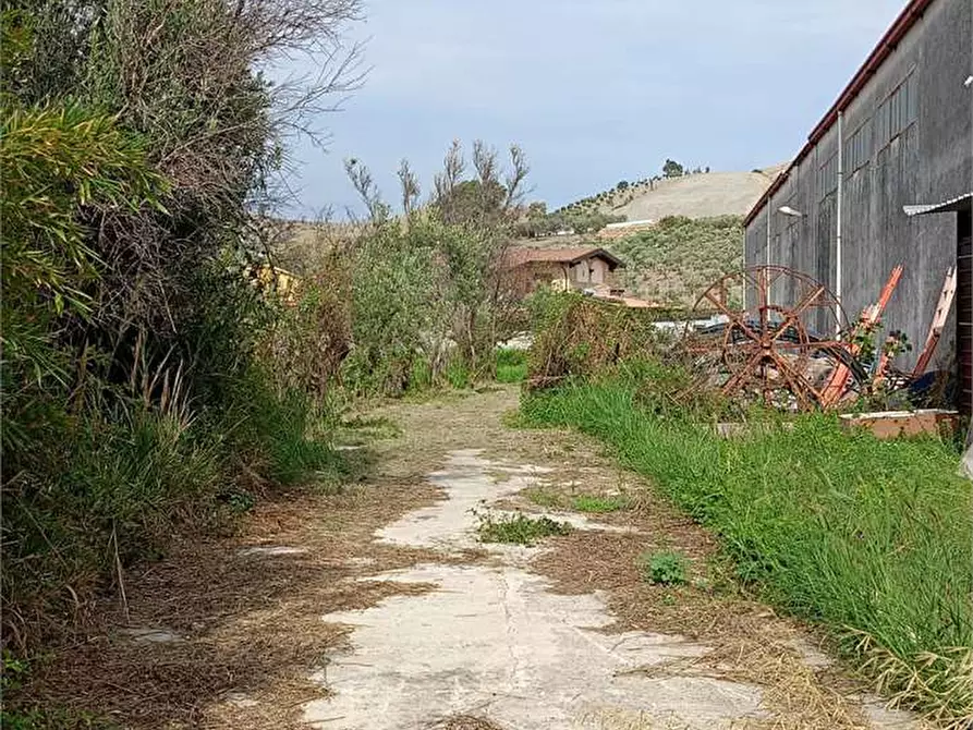 Immagine 20 di Terreno edificabile in vendita  in FIUME BUSENTO a Catanzaro
