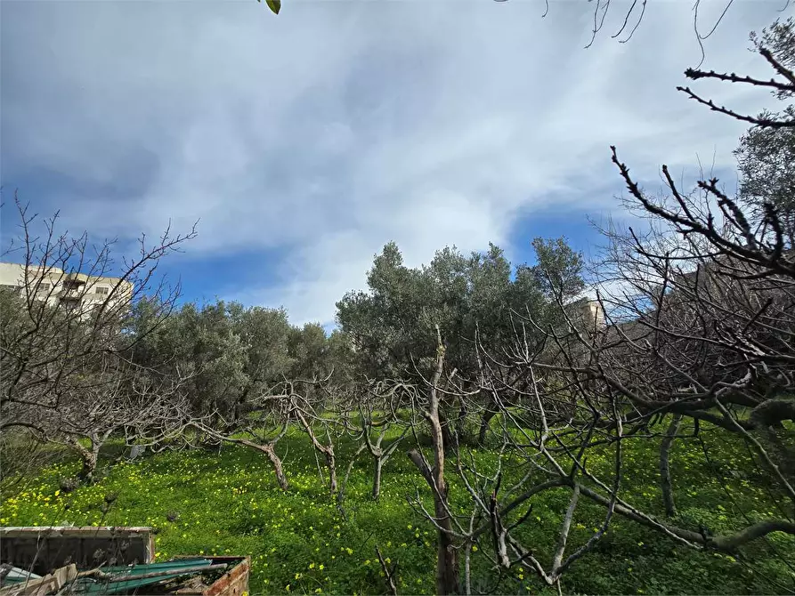 Immagine 2 di Terreno edificabile in vendita  a Catanzaro