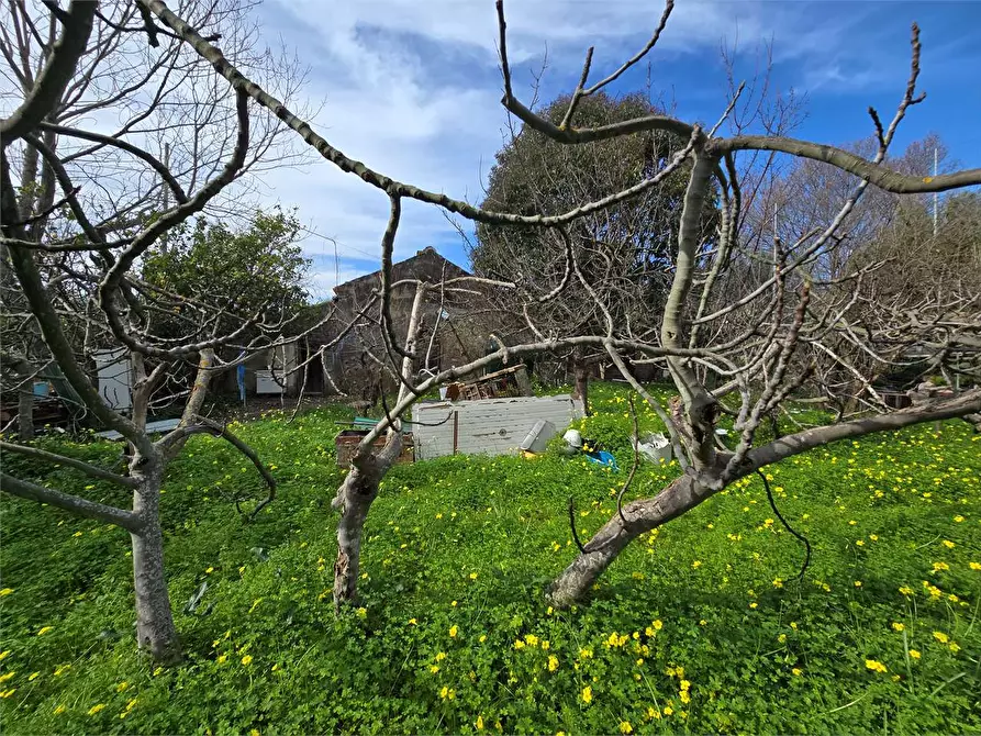 Immagine 6 di Terreno edificabile in vendita  a Catanzaro