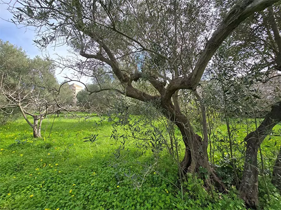 Immagine 9 di Terreno edificabile in vendita  a Catanzaro