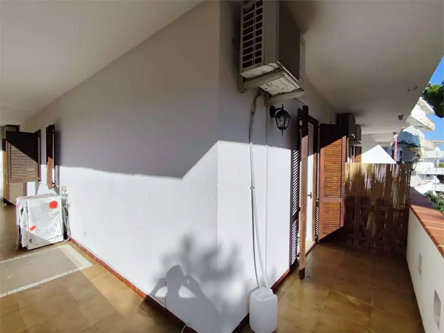 Immagine 8 di Appartamento in affitto  a Stalettì