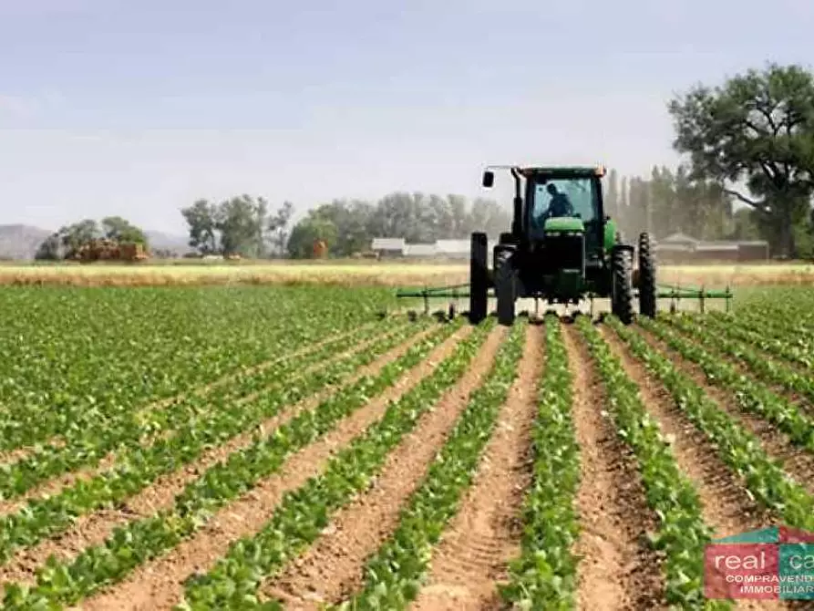 Immagine 1 di Terreno agricolo in vendita  in via campestre 1 a Modena