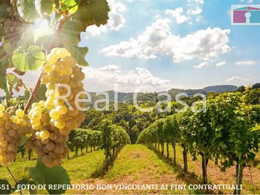 Immagine 1 di Terreno agricolo in vendita  in via per casalgrande  a Casalgrande