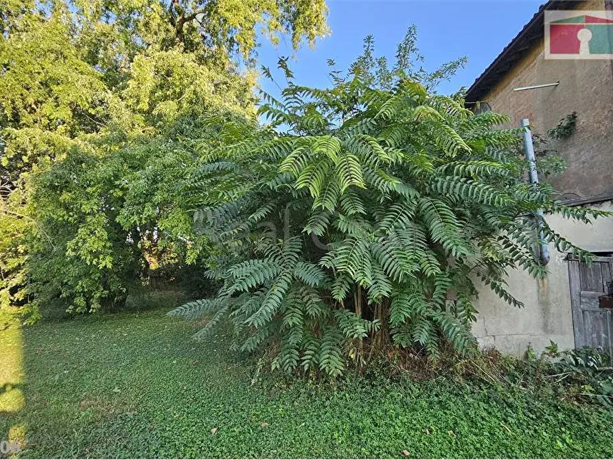 Immagine 15 di Rustico / casale in vendita  a Modena