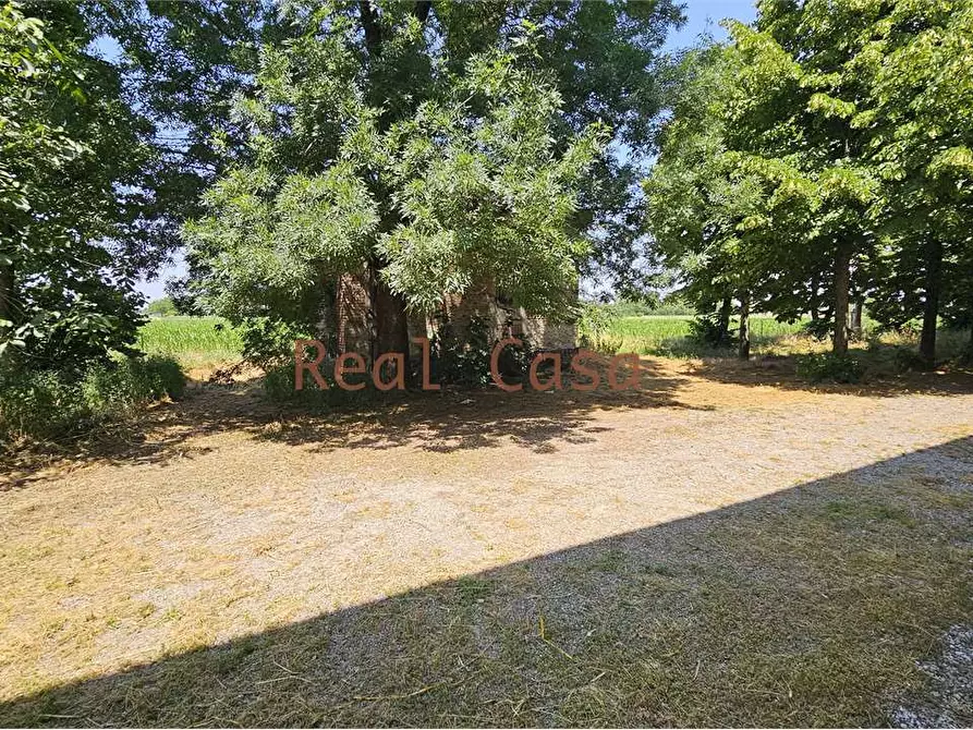 Immagine 32 di Rustico / casale in vendita  in Stradello degli Orsi a Modena