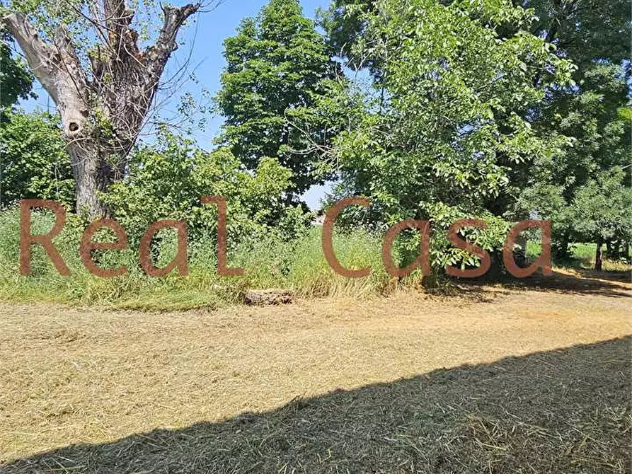 Immagine 35 di Rustico / casale in vendita  in Stradello degli Orsi a Modena