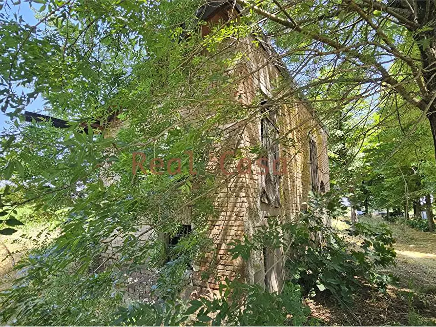 Immagine 46 di Rustico / casale in vendita  in Stradello degli Orsi a Modena