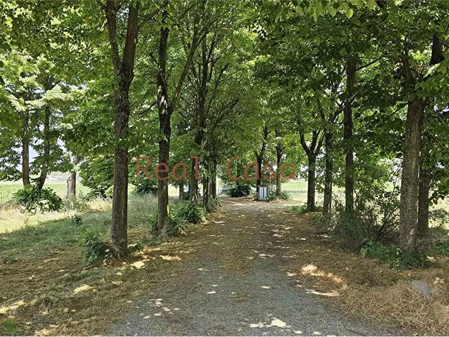 Immagine 48 di Rustico / casale in vendita  in Stradello degli Orsi a Modena