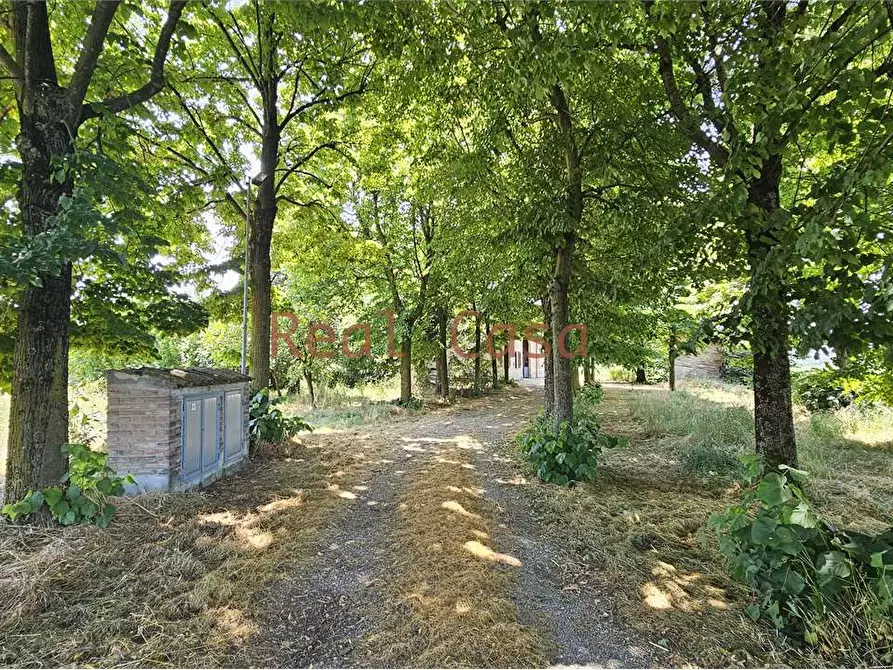 Immagine 49 di Rustico / casale in vendita  in Stradello degli Orsi a Modena