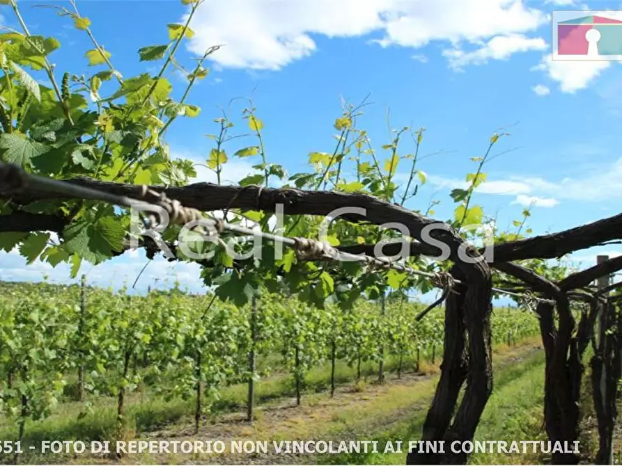 Immagine 2 di Terreno agricolo in vendita  in via per casalgrande  a Casalgrande