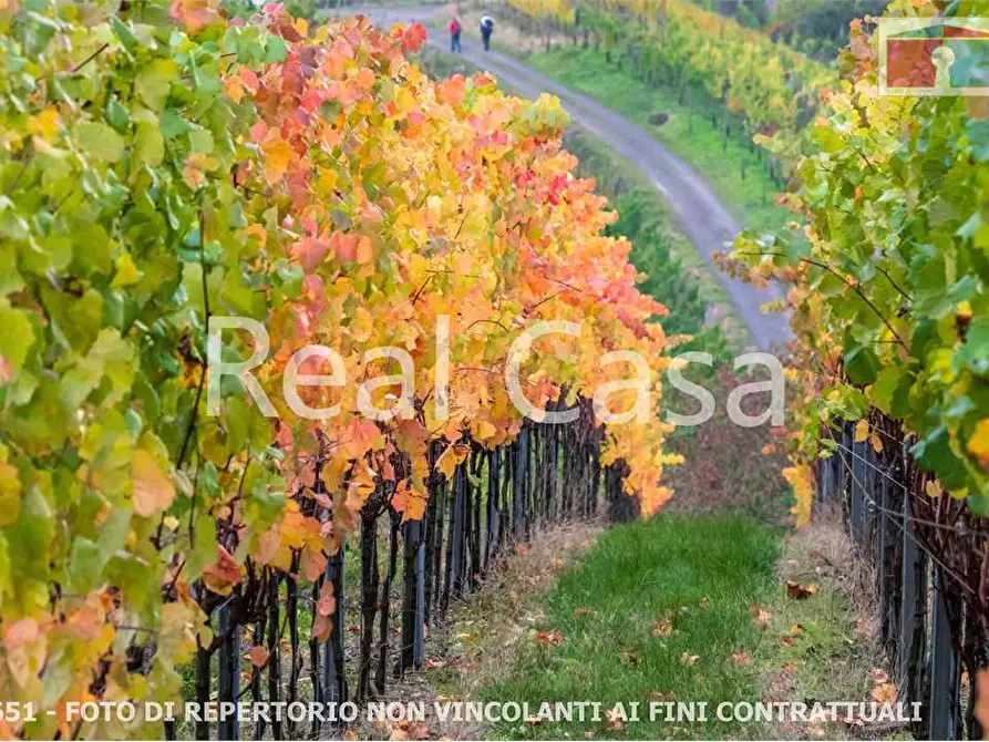 Immagine 8 di Terreno agricolo in vendita  in via per casalgrande  a Casalgrande