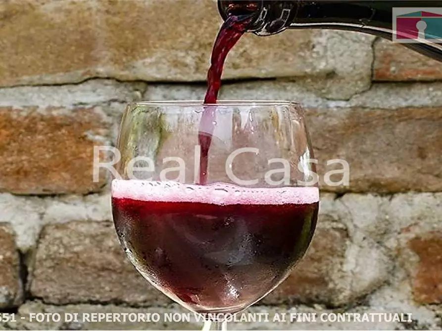 Immagine 12 di Terreno agricolo in vendita  in via per casalgrande  a Casalgrande