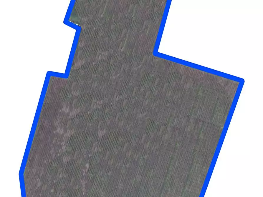 Immagine 13 di Terreno agricolo in vendita  in via per casalgrande  a Casalgrande