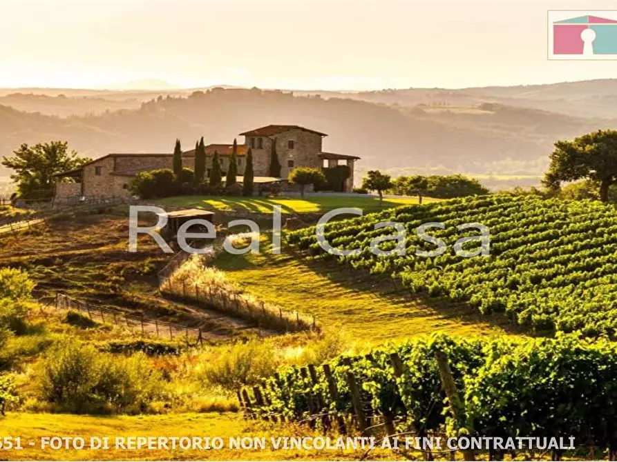 Immagine 4 di Terreno agricolo in vendita  in via per casalgrande  a Casalgrande