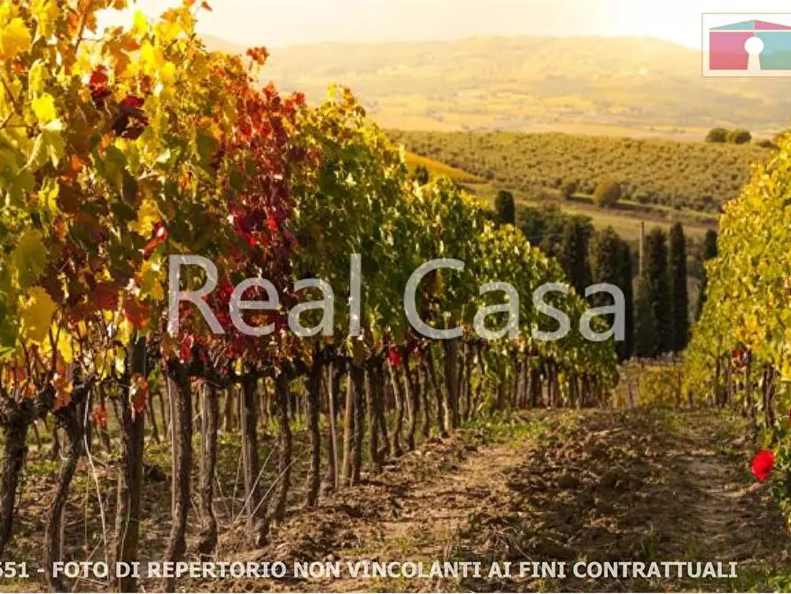 Immagine 7 di Terreno agricolo in vendita  in via per casalgrande  a Casalgrande