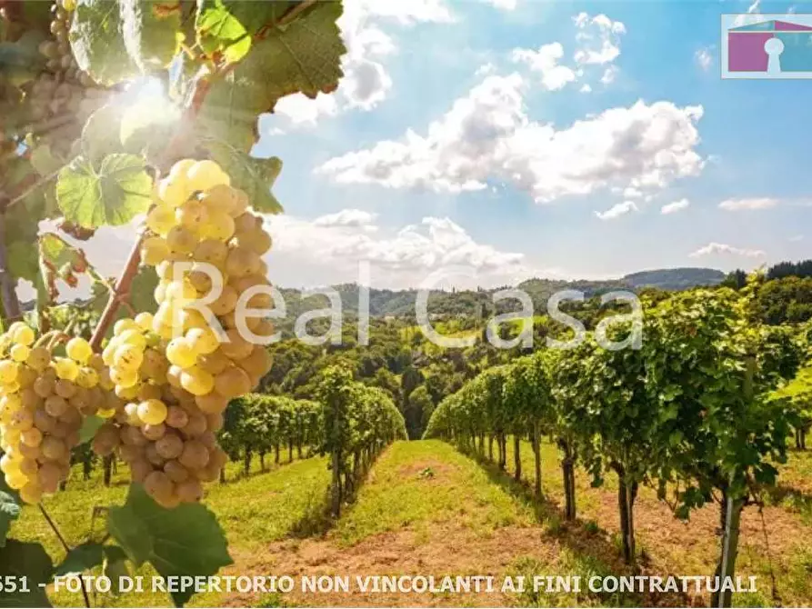 Immagine 9 di Terreno agricolo in vendita  in via per casalgrande  a Casalgrande